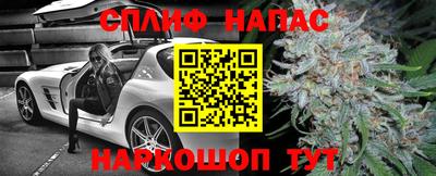 прущие грибы Краснодар