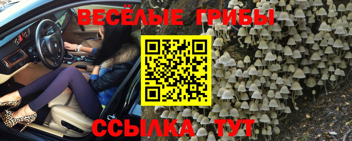 Галлюциногенные грибы прущие грибы  Вход с VPN  наркошоп  Кингисепп 