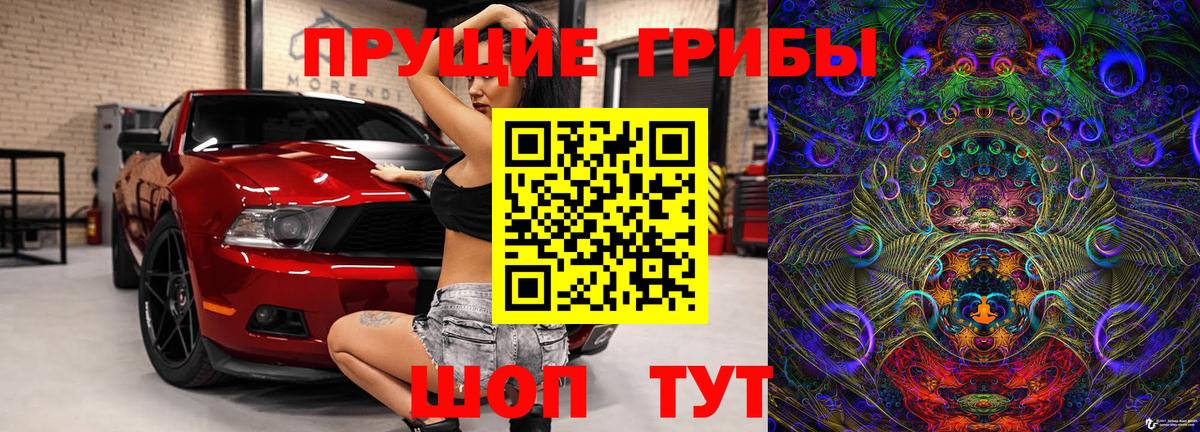Псилоцибиновые грибы GOLDEN TEACHER Кингисепп