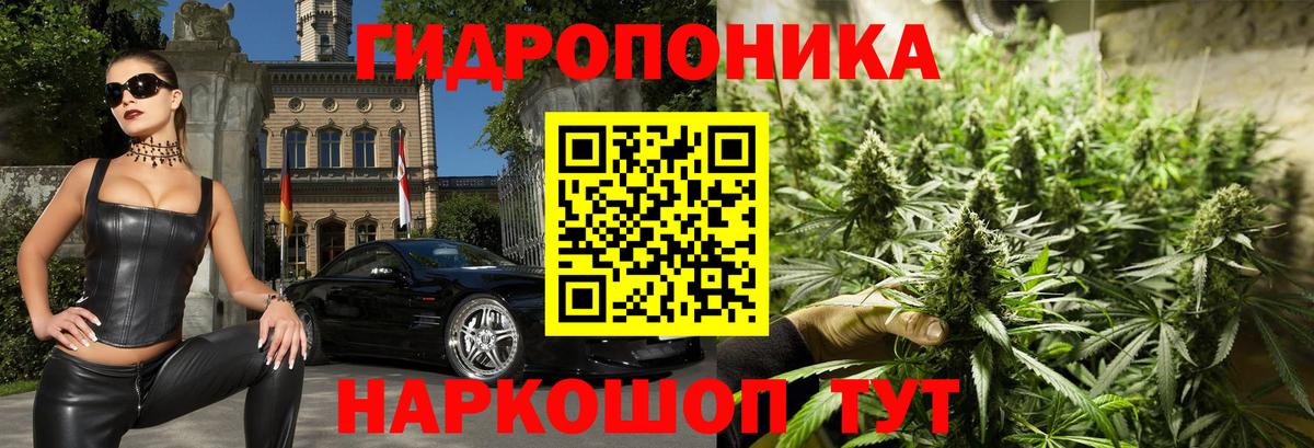 Каннабис гибрид Кингисепп
